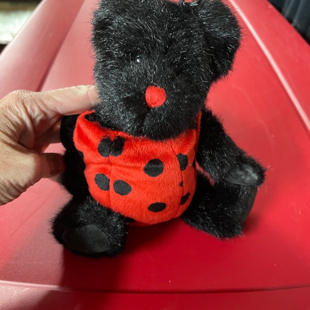 Boyd’s lady Bug bear retired Wth tags 🏷 look 👀